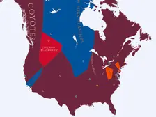 2013-14 NHL Imperialism Map